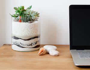 plants add a nice touch to your home office