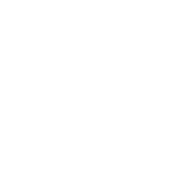 Outsource Partner of the Year – Business Intelligence Group