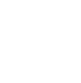 2025 Gold Stevie® Awards