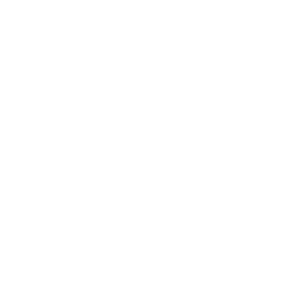 FlexJobs Top 100 Companies to Watch for Remote Jobs 2025